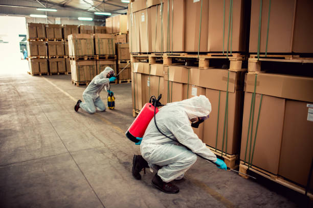 Best Affordable Pest Control Services  in Rosend, LA