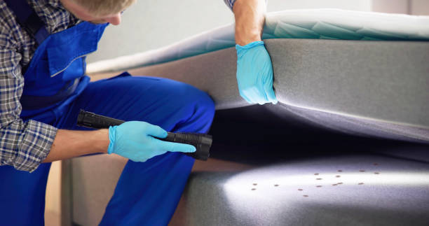 Best Ant Control Services  in Rosend, LA